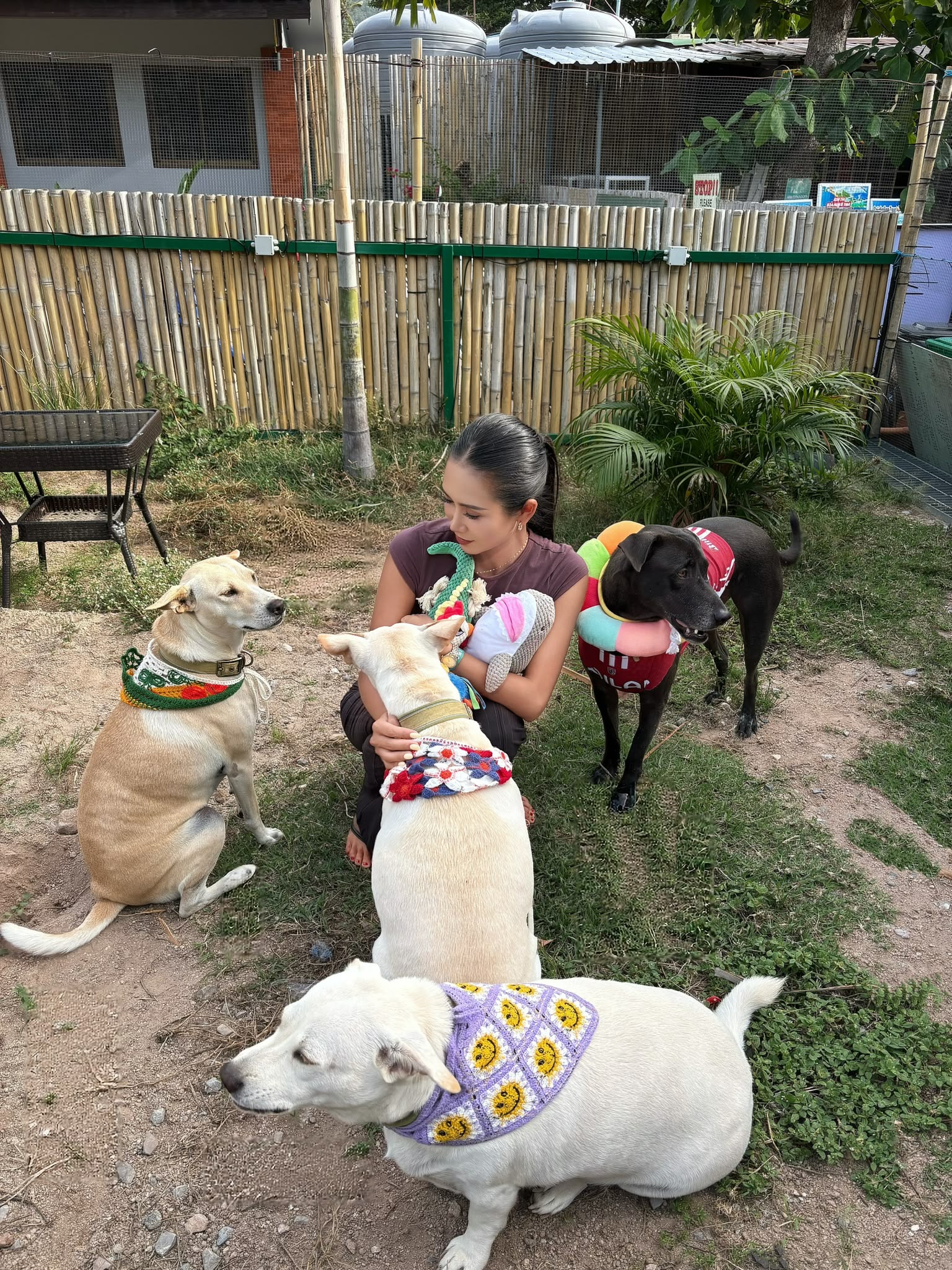 HOUDINI, RIA, DOTTY & FLEA — THE JUNGLE KIDS